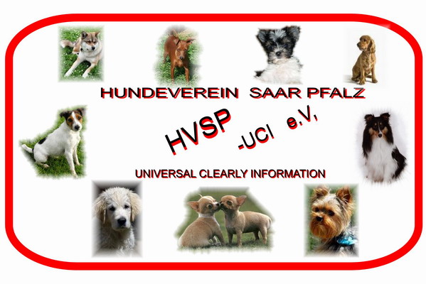 Unser Verein HVSP-UCI e.V.
